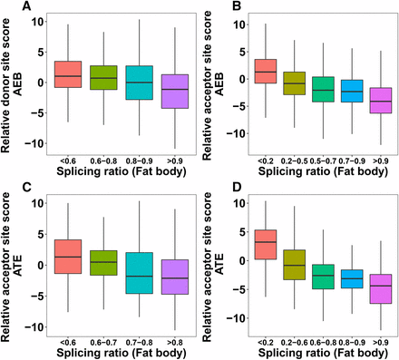 (A-B) Impact of relative splice site score (major - minor) on AEB splicing ratio (minor/major) in honey bee fat body. (C-D) Impact of relative splice site score (major - minor) on ATE splicing ratio (minor/major) in fat body. P-values from the Mann-Whitney-Wilcoxon tests between the first and the last splicing ratio categories: A = 2.2e-16, B = 2.2e-16, C = 8.189e-14, D = 2.2e-16.