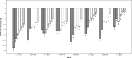 Mean relative expression and standard error of genes in backcross males, that are misregulated relative to parental species, compared to the expression in sterile F1 male hybrids. Parental species are shown in gray, BC progeny in white and sterile F1 males are hatched. For each gene, from left to right, D. p. bogotana, D. p. pseudoobscura, BC4, BC1p (from parental D. p. pseudoobscura females), BC1b (from parental D. p. bogotana females) and sterile F1 hybrid males. Shared letters identify non-significantly different groups (post-hoc Scheffe’s test, FDR corrected q< 0.05).