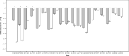 Mean relative expression and standard error of genes in fertile sepia (gray bars) and sterile non-sepia (white bars) IG males. Asteriks identify significant differences in expression (post-hoc Scheffe’s test, FDR corrected q< 0.05).