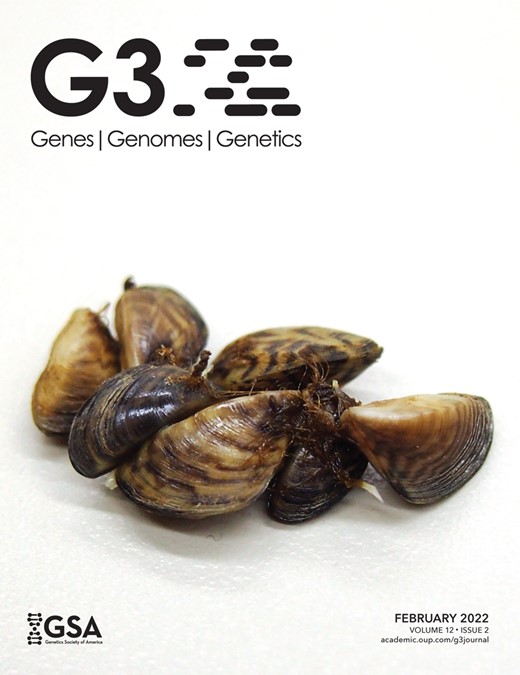 G3 Genes|Genomes|Genetics Cover Image for Volume 12, Issue 2
