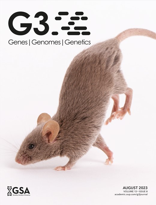 G3 Genes|Genomes|Genetics Cover Image for Volume 13, Issue 8