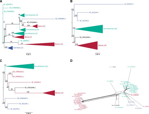 —Examples of incongruent phylogenies. (A) Phylogeny of universal genomic region 35 inferred from the complete alignment (1,164,225 nt, 1.2% variable sites, 0.92% parsimony informative sites, HoT score: 50.41%). (B) Phylogeny of universal genomic region 35 estimated from the alignment with unreliable positions removed (586,857 nt, 0.71% variable sites, 0.43% parsimony informative sites). See also supplementary figure S3, Supplementary Material online. (C) Phylogeny of universal genomic region 40 inferred from the complete alignment (611,340 nt, 0.68% variable sites, 0.46% parsimony informative sites, HoT score: 98.28%). (D) Splits network of universal genomic region 40 with unreliable positions removed (600,805 nt, 0.62% variable sites, 0.41% parsimony informative sites). See also supplementary figure S5, Supplementary Material online. Five problematic strains are identified: NZ_CP010340.1 and NZ_CP010338.1 were removed from RefSeq, and NZ_CP009100.1, NZ_CP009101.1, and NC_021054.1 from lineage 2 are H37Rv-guided assemblies.
