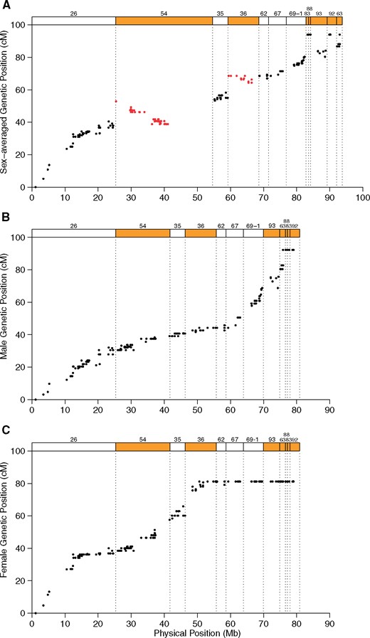 —Genetic position of markers as a function of the physical position on the ostrich Z chromosome. (A) Sex-averaged genetic positions before correction of the physical assembly. Top rectangles represent superscaffolds numbered, ordered and oriented according to (Zhang et al. 2015). Red symbols represent markers from incorrectly assembled scaffolds. (B) Male and (C) female genetic positions with superscaffolds corrected for chimaerism, order, and orientation. Scaffold borders are indicated by dashed lines in all panels.