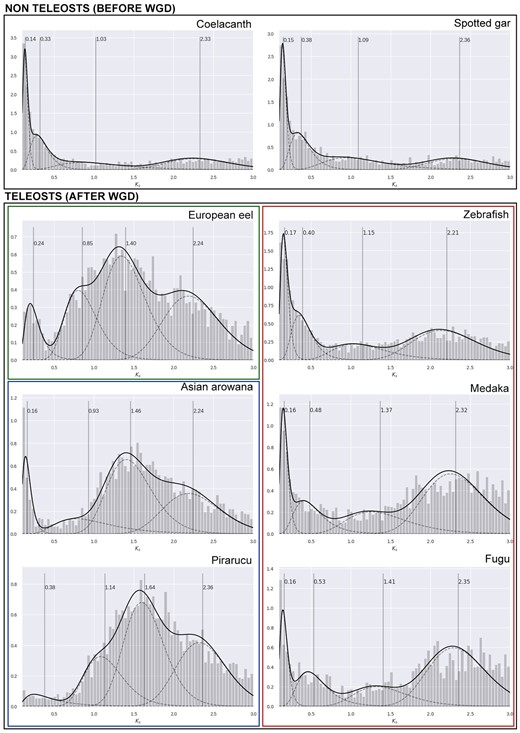—Empirical age distributions. Age distributions based on number of synonymous substitutions per synonymous site (Ks) estimated for paralogous gene families of each species. Distributions were modelled using a four component Gaussian mixture model (GMM). Solid black lines show mixture distributions, and dashed lines represent individual components. Vertical dashed lines correspond to the geometric mean of each component. Ks estimates (X axis) can be interpreted as age divergence between paralogous genes of a given species. The initial peak represents newly duplicated genes (usually derived from small-scale duplication events). Over time, duplications are eventually lost, and a decreasing slope is observed following the initial peak, outlining the steady decrease of retained duplicates. WGD events create distinct peaks to the distribution and can usually be observed as different components in a mixture distribution.