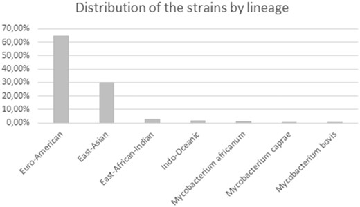 —Distribution of the strains within our data set by lineage. Lineage distribution was determined through virtual spoligotyping and using the TBInsight online server.