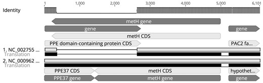 —The metH variants of M. tuberculosis H37Rv (Accession Number: NC_000962) and CDC1551 (Accession Number: NC_002755).
