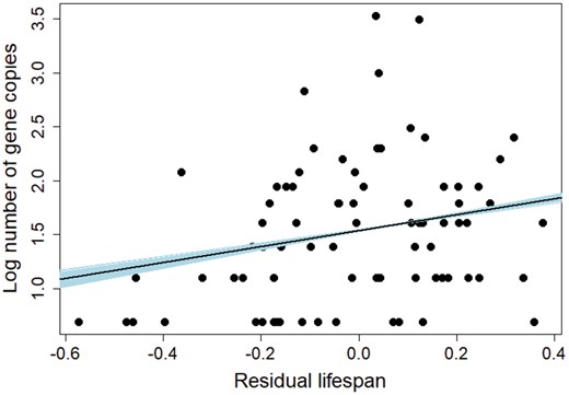 Relationship of gene copy number at MHC class I with residual lifespan of birds. Regression lines for 1,000 random phylogenies are marked with blue, and regression line averaged across these phylogenies is marked with black.