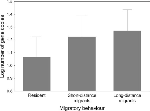 Relationship of gene copy number at MHC class II with migratory behavior of birds. Mean ± SE estimates for 1,000 random phylogenies are shown for resident, short-distance migratory, and long-distance migratory species.