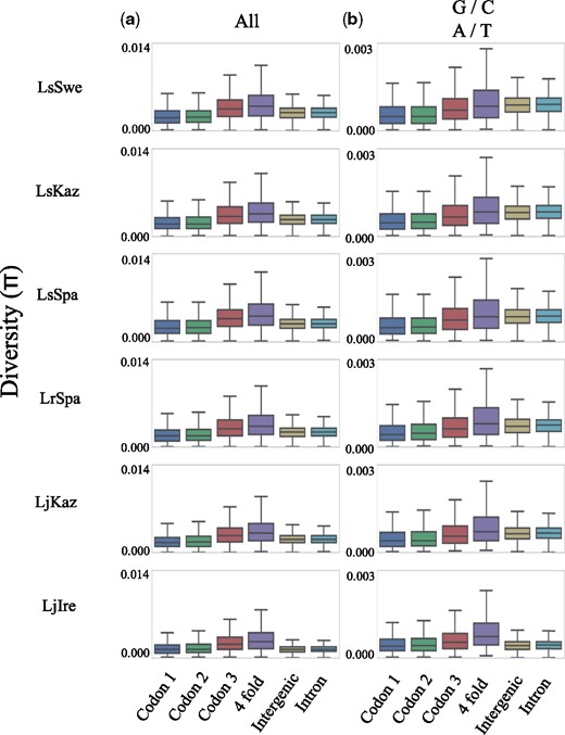 —Boxplots showing the nucleotide diversity at different site categories calculated using all (vertical panel a), or only weak to weak (A/T) and strong to strong (G/C) polymorphisms (vertical panel b).