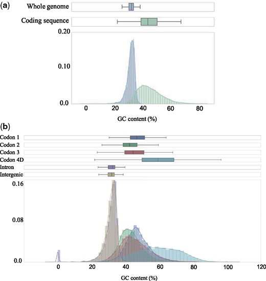 —The distribution of GC-content (%) across 100 kb windows for protein coding- and noncoding sequences (a) and for separate site categories (b).