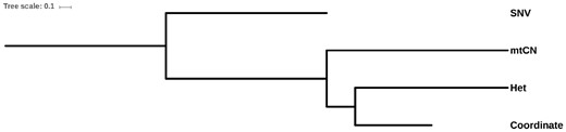 —The interrelationship between the four characteristics. Dendrograms were constructed based on the wRFD matrices.