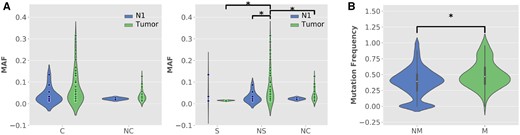—Comparison of the minor allele frequency (MAF) in different mutation categories. (A) Comparison between N1 and tumor samples (tumor), C denotes the coding region, NC denotes the noncoding region, S denotes synonymous mutations, and NS denotes nonsynonymous mutations. (B) Comparison of the frequency of SNV in nuclear-encoded mitochondrial genes (M) and other nuclear genes (NM). Mann–Whitney U test was used to calculate the significance of differences. Asterisk was added to denote a significant difference (P value < 0.05).