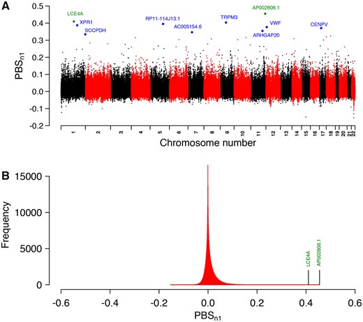 —PBSn1 scores across the genome. (A) Manhattan plot showing the PBSn1 scores along autosomic chromosomes. Blue and green dots represent selected variants with their associated genes. Green dots represent the two strongest hits. (B) Distribution of PBSn1 scores. Marked positions correspond to genes associated with the two strongest hits.