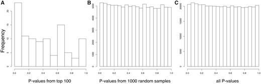 —Distribution of BC association P values among SNPs with highest PBSn1 scores. (A) Histogram showing observed P values for the top 100 PBSn1 SNPs. (B) Histogram of 1,000 random samples of P values of size n = 100. (C) Histogram of all BC association P values from the data set.