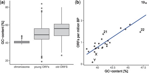 Novel transcribed human open reading frames (ORFs) and chromosomal GC-content. (a) GC-content of chromosomes, young ORFs (conservation class 0), and old ORFs (conservation class 5). (b) GC-content of chromosomes and number of novel ORFs (conservation class 0) per million base pairs.