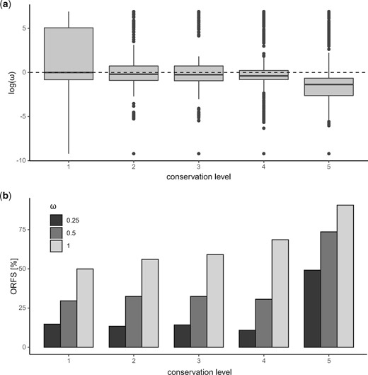 dN/dS omega (ω) values of transcribed human–chimpanzee homologous open reading frames (ORFs). (a) Log transformed scores. (b) Proportion of ORFs with ω below thresholds of 1, 0.5, and 0.25.