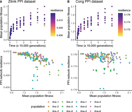 PPI network resilience negatively correlates with mean population fitness, measured by direct competition assays against reference LTEE clones (Wiser et al. 2013). The top panels show the fitness measurements from Wiser et al. (2013); the colors denote the PPI network resilience of genomes sampled from the corresponding populations and time points. The bottom panels show the negative correlations between mean population fitness and PPI network resilience. (A) Analysis based on the Escherichia coli PPI network published in Zitnik et al. (2019). The negative correlation between fitness and resilience is significant (Pearson’s product-moment correlation: r = −0.59, P < 10−16). (B) Analysis based on the E. coli PPI network published in Cong et al. (2019). The negative correlation between fitness and resilience is significant (Pearson’s product-moment correlation: r = −0.27, P < 10−4).