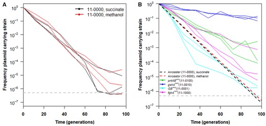 (A) Plasmid carriage over time. Maintenance of plasmid pCM410 over time was examined when introduced into WT Methylorubrum extorquens AM1 (resulting in strain CM3260, genotype “11-0000”). The experiment was carried out in Hypho media with relaxed selection for the plasmid (no antibiotic present). Regardless of the specific carbon source used, we observed rapid and constant loss of the plasmid over time, suggesting strong fitness costs for its carriage by this genotype. (B) Each strain examined has a separate evolved mutation(s) in its background and was carried out in triplicate. Lines indicate the change of individual lineages and dots indicate the mean of the triplicate cultures for a given strain. Model fits (linear regression) for the rate of loss in the background strain CM3260 grown in both succinate (black) and methanol (red) media are also provided as dashed line for reference.