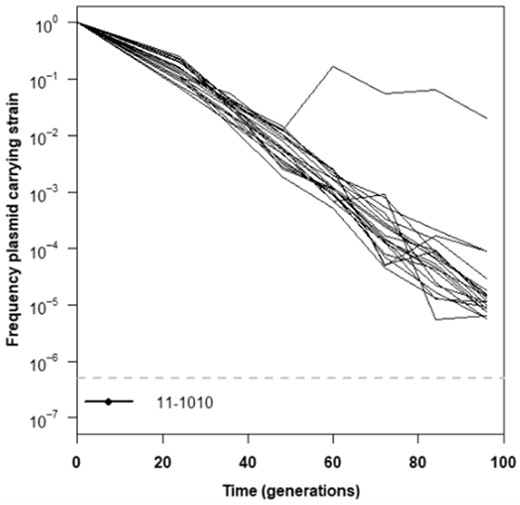 Plasmid carriage by genotype 11-1010 over time. Examination of plasmid pCM410 retention/loss over time was examined in strains of Methylorubrum extorquens AM1 containing evolved mutations identified in a previous study (Chou et al. 2011). Plasmid carriage by this strain was examined in biological replicate of N = 20. Lines indicate the change of each individual lineage. Experiments were carried out in Hypho media with relaxed selection for the plasmid (no antibiotic present). The dashed gray line in each panel indicates the experimental limit of detection for the assay.