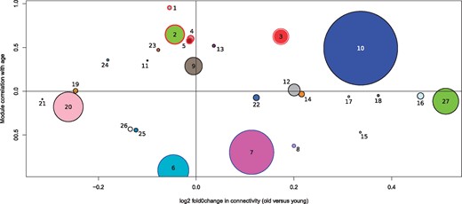 Correlation of GCN modules with age and their change in connectivity between old and young queens. A positive correlation with age (y axis) signifies an upregulation of a module in old queens. A positive log2-fold change in connectivity (x axis) represents a higher connectivity in old queens. Modules are labeled with their assigned module numbers. Sizes of dots represent relative number of genes within modules. Modules with red outlines are significantly upregulated and modules with blue outlines are significantly downregulated in old queens compared with young queens.