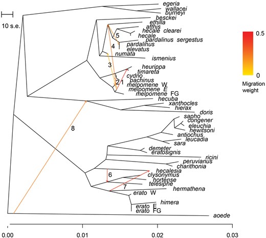 The extent of interspecific gene flow varies across the tree. TreeMix inference of splits and mixture from autosomal SNPs. Migration edges (1–8) are inferred on a phylogenetic tree built from allele frequencies under a Gaussian genetic drift approximation. Colors of the edges correspond to the proportion of the genome exchanged.