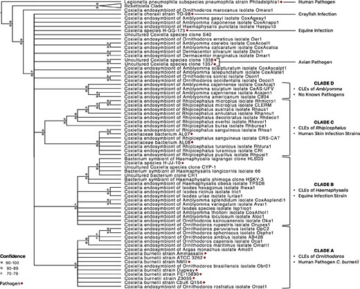 CLE clades contain both tick endosymbionts and pathogens. A 16S rDNA-based phylogenetic tree is shown. Bootstrap support and posterior probabilities are labeled above and below branchpoints, respectively. Nodes with ≤70% bootstrap support were collapsed to polytomies. Taxa colors represent the continent from which the host was derived. Established pathogens are marked with asterisks. Clades A–D were originally defined by Duron et al. (2015a).