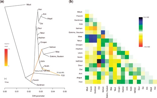 (a) Phylogenetic tree and (b) residual matrix constructed using TreeMix when two migration events were assumed.