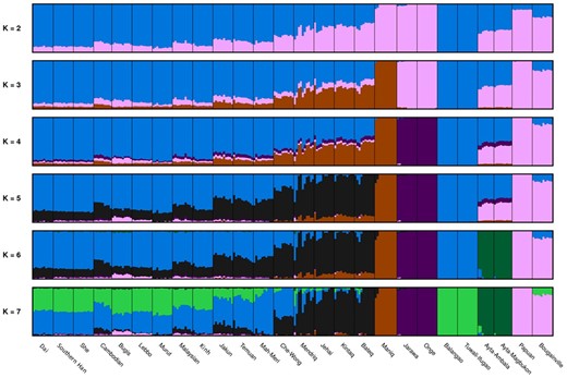Admixture analysis for Asian populations. admixture plots for K = 2–7 with 170,513 SNPs used (K = 7 has the lowest cross-validation error).