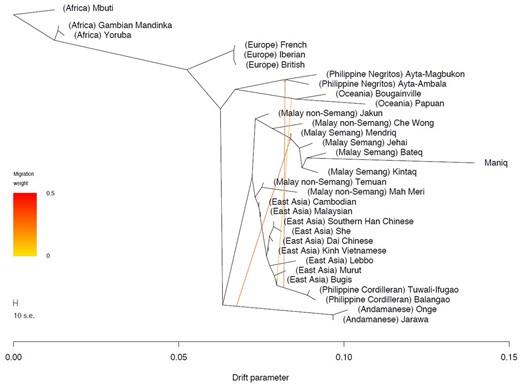 Genetic relationship of the Maniq relative to worldwide set of populations. TreeMix analysis with three added migration edges (over 99% explained variance). Number of SNPs used = 190,283.