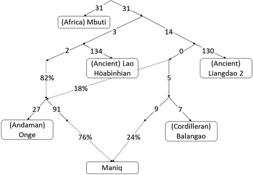 Inferred admixture graph model for the Maniq. A possible qpGraph scenario to explain the topology around the Maniq. Worst fitting Z = 0.788, number of SNPs used = 56,590.