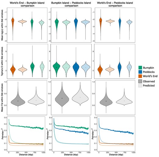 SFS-based demographic models provide a close fit to some, but not all, summaries of variation. Panels compare summaries of variation measured from empirical data (dark shading) to those obtained from predictive simulations conducted using best-fit demographic parameter estimates (light shading). Violins plot the distributions of π (log-scaled; first row), Tajima's D (second row), and FST (third row) computed in 5 kbp windows. Black points denote the mean value of each distribution. LD decay curves (fourth row) plot average pairwise r2 between SNPs separated by increasing physical distances (up to 1 Mbp). For single-population summaries, empirical and simulated distributions/curves are colored according to population (Bumpkin Island, green; Peddocks Island, blue; mainland World's End, orange). Column titles denote the demographic model used for each set of predictive simulations (World's End-Bumpkin Island, left; Bumpkin Island-Peddocks Island, middle; World's End-Peddocks Island, right).
