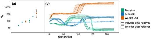 LD-based estimates of recent effective population size are an order of magnitude smaller than SFS-based inferences. a) Point estimates of contemporary Ne obtained with currentNe (Santiago et al. 2024). Vertical lines represent 90% confidence intervals. b) Recent Ne trajectories estimated by GONE (Santiago et al. 2020). Ne trajectories span the present (generation 0) to 200 generations into the past. Center lines represent Ne estimates averaged over 15 replicate GONE analyses. Ribbons represent the range of each Ne estimate across replicates. Point estimates in (a) and Ne trajectories in (b) are colored according to population (Bumpkin Island, green; Peddocks Island, blue; mainland World's End, orange). Dotted confidence intervals/trajectories reflect estimates made using a subset of the data in which close relatives (defined as relationships closer than or equal to 2nd degree) were excluded. Solid confidence intervals/trajectories reflect estimates made using the full sample.