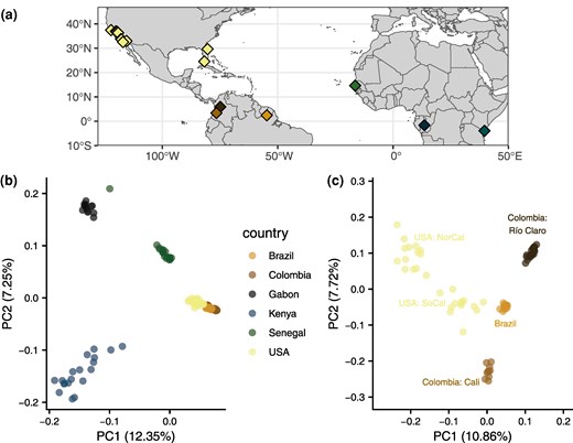 a) Sampling locations of specimens used in this study. b) PCA of all specimens highlighted by country of origin. c) PCA of American samples highlighted by location.