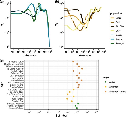 Estimated population size (Ne) history and split times from SMC++. a) Ne histories for all African accessions. b) Ne histories for all American accessions. c) Split times for all accession pairs.