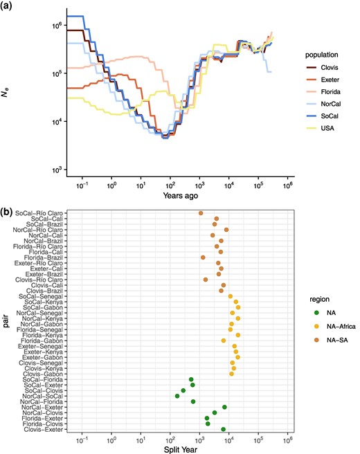a) Effective population size histories for approximate US populations, with the estimated history of the combined accessions from the previous plot. b) Split times for all approximate US populations with all other accessions.