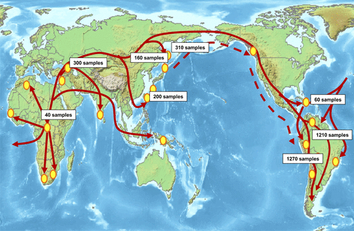 Hypothetical pathways of prehistoric human migration. Red arrows indicate hypothetical prehistoric migration routes of humans after leaving Africa approximately 70 thousand years ago. The numbers in boxes indicate the number of individuals who donated blood samples. The yellow circles indicate the approximate geographic locations where the blood samples were collected.