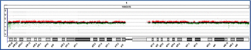 Array CGH of chromosome 1 of the YAN3191 cell line. The acquired hybridization signal for chromosome 1 is shown. Dots indicate probes arrayed on the microarray. Red, green and black signals indicate probes that were called “amplified,” “decreased,” or “no change,” respectively, at the corresponding genomic regions in the YAN3191 cell line compared with PBMNCs.