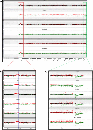 An example of array CGH analysis showing the results for chromosome 14. (A) The acquired hybridization signal for the entire chromosome 14. (B, C) Expanded images around 14q11.2 (B) and 14q32.33 (C). The dots in (A) and the crosses in (B) and (C) indicate probes arrayed on the microarray. The red, green and black signals indicate probes that were called “amplified,” “decreased,” or “no change,” respectively, in B-LCLs compared with PBMNCs in YAN3268, YAN3191, and YAN3143 and in CD19+ cells compared with CD19− cells in Cord Blood-1, Cord Blood-2, and the Adult Japanese sample.