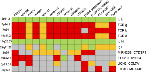 Panel of aberration loci in each cell. Red and green columns indicate the loci called as amplifications and deletions, respectively. Yellow columns indicate that the aberrations were detected under less stringent statistical conditions. Gray columns indicate no statistical differences.