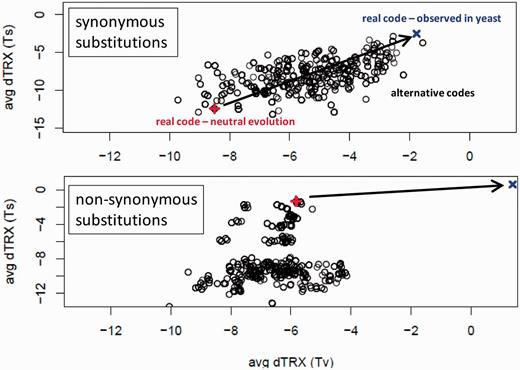 Average mutational impacts on DNA flexibility for evolutionary neutral simulations under alternative genetic codes. A total of 1,152 alternative permutations of the genetic code were computed using the method of Itzkovitz and Alon (2007), and the average mutational impact for four classes of substitutions (synonymous Ts, synonymous Tv, nonsynonymous Ts, and nonsynonymous Tv) were calculated using neutral evolutionary simulations on reverse translated random amino acid sequences with no codon usage bias (48.3% GC content). Values for neutral simulations using the standard genetic code (red) and real mutations in yeast genomes (blue), presumably selectively constrained, are shown for comparison. The level/direction of selective constraint is indicated by the black arrow.