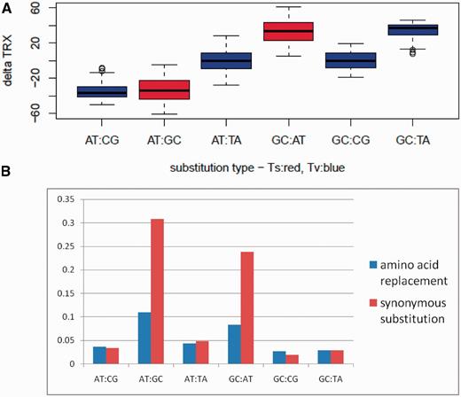 Mutational impact on DNA flexibility and frequency of occurrence for different classes of substitutions in the yeast genomes. (A) Average mutational impact of single-base substitutions on the flexibility of codon phosphate linkages (delta TRX) for all classes of substitutions. Negative values indicate mutational shifts toward increased DNA flexibility. (B) Frequencies of the same classes of substitutions for both functional (amino acid replacing) and silent substitution types. High frequency mutations (synonymous Ts) have strong counteracting average effects on DNA flexibility.