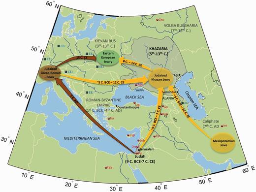 Map of Eurasia. A map of Khazaria and Judah is shown with the state of origin of the studied groups. Eurasian Jewish and non-Jewish populations used in all analyses are shown in square and round bullets, respectively (supplementary table S3, Supplementary Material online). The major migrations that formed Eastern European Jewry according to the Khazarian and Rhineland hypotheses are shown in yellow and brown, respectively.