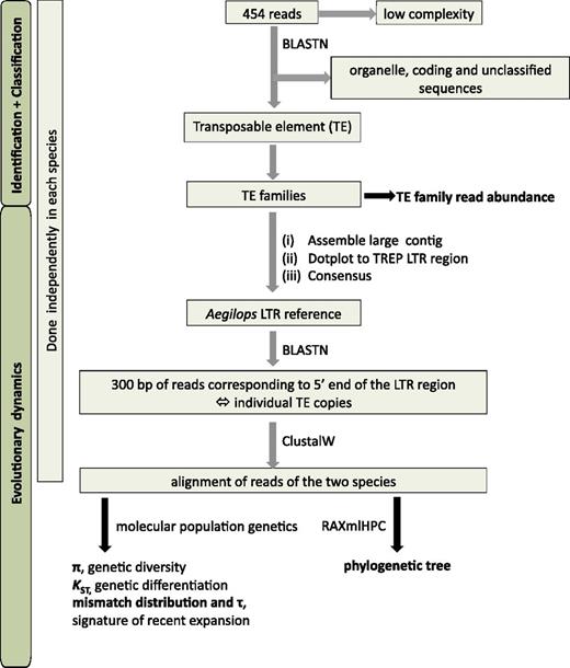 Overview of the approach used here to identify and classify 454 reads into families of TEs, and then investigate their evolutionary dynamics through molecular population genetics.