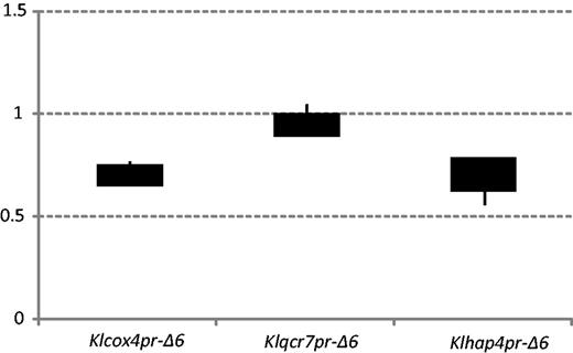 Deletion of Cbf1 binding motifs reduced the expression levels of Module 5 genes. Two of the three mutants, KlCox4pr-Δ6 and Klhap4pr-Δ6, showed a significant expression level reduction (only 73% and 78% relative to the wild-type strain), according to the quantitative real-time PCR data.