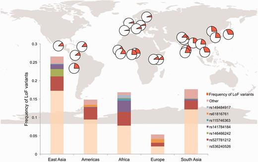 Allele frequency distribution of FLG loss-of-function SNPs. The map on top shows the distribution of loss-of-function alleles across the world. The orange portion of the pies corresponds to cumulative allele frequency of loss-of-function alleles detected in the 1000 Genomes Phase 3 dataset. The bottom graph highlights the most common loss-of-function variants in different continental populations.
