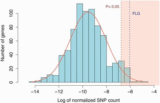 (A) The number of FLG loss-of-function variants standout from the chromosome-wide expectations. The x-axis of this plot indicates the log number of loss-of-function variants observed in each gene (normalized by gene size), on chromosome 1 using the 1000 Genomes Phase 3 dataset. Note that genes with no loss-of-function variants reported were not plotted. The number of FLG loss-of-function variants is significantly higher than the chromosome-wide expectation.