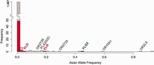 (C) The histogram for the frequencies of multiple FLG loss-of-function variants in the genome is significantly higher than chromosome-wide expectations. The x-axis of this histogram shows the allele frequency of observed loss-of-function variants in Asian population across chromosome 1. The y-axis shows the number of observations. The majority of loss-of-function variants are rare (<1%). However, four different FLG loss-of-function variants are individually have higher allele frequencies, and cumulatively the allele frequency of FLG loss-of-function variants represents one of the highest in the genome.