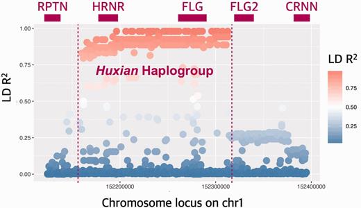 (A) Linkage disequilibrium (LD) in and around FLG gene. The x-axis of this plot shows the chromosomal location. The y-axis shows the LD R2 between all reported single nucleotide variants in CHB population and rs77422831, which is the variant with highest iHS score in CHB population. Top panel shows the approximate locations of genes, including FLG and HRNR. The red to blue color gradient indicates decreasing LD with rs77422831.