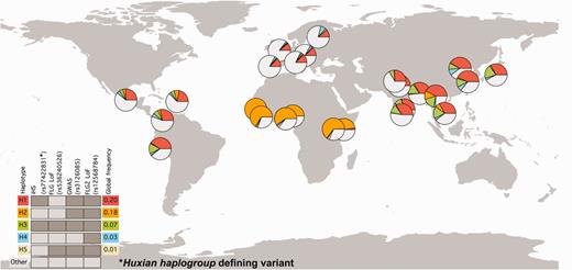 (C) Geographic distribution of haplotypes carrying functionally relevant variants. Distribution of most common combinations of putatively functional variants were shown across the world. The colors in the pie-charts represent the relative frequencies of major haplotypes. The individual SNPs that define different haplotypes were indicated on top of the legend placed bottom left of the map. The dark gray bars indicate the presence of the derived allele in that haplotype, whereas light-gray indicate that the haplotype carry the ancestral allele. The color-coded haplotypes indicated by H1–H5 corresponds to the colors in the pie-charts. Other indicate haplotypes not covered in this chart. The global allele frequencies of each haplotype were indicated in the right side of the legend. The H1 (red) and H3 (green) haplotypes correspond to the Huxian haplogroup. Note the major increase in allele frequency of the Huxian haplogroup in Eastern Asian and Southern Asian populations.