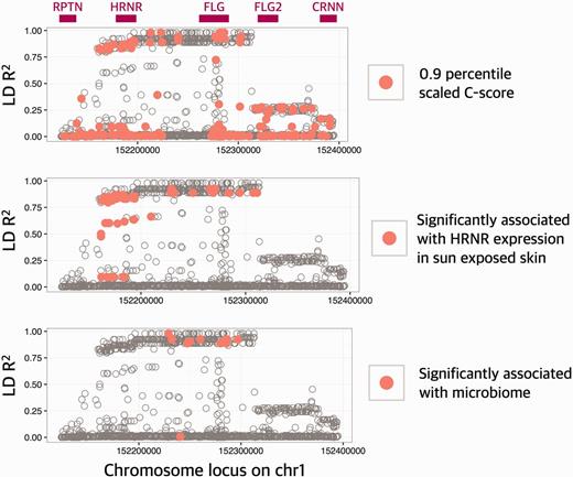 Putatively functional variants are linked with Huxian haplogroup. The x-axis of this plot shows the chromosomal location. The y-axis shows the LD R2 between all reported single nucleotide variants in CHB population and rs77422831, which is the defining variant for Huxian haplogroup. Top panel shows the approximate locations of genes. In each panel, a different functional aspect of the variation was considered. In the top panel, the variants with CADD scores in the 90th percentile (CADD = 6.714355) were indicated with red points. In the middle panel, the variants that are significantly (P < 10−5) associated with the expression levels of HRNR were indicated with red points. In the bottom panel, the variants that are associated with skin microbiome diversity (P < 0.001) were indicated by red points.